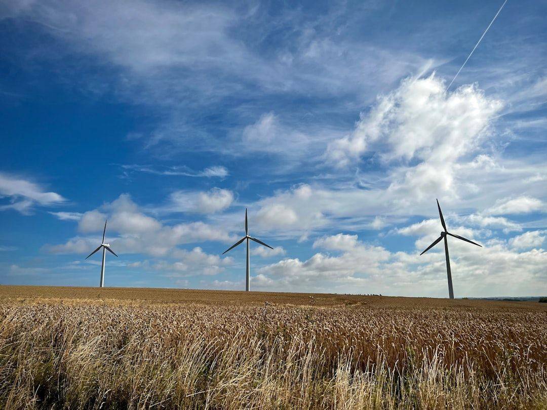 découvrez les matériaux durables, essentiels pour un avenir écoresponsable. apprenez comment choisir des ressources respectueuses de l'environnement et réduire votre empreinte écologique tout en alliant innovation et qualité.